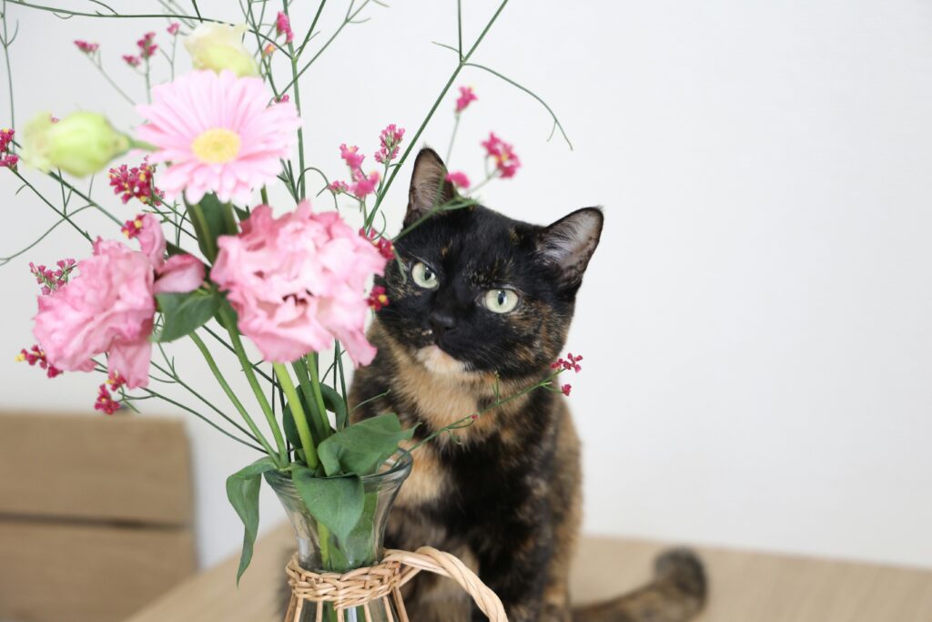 猫　花　プリザーブドフラワー